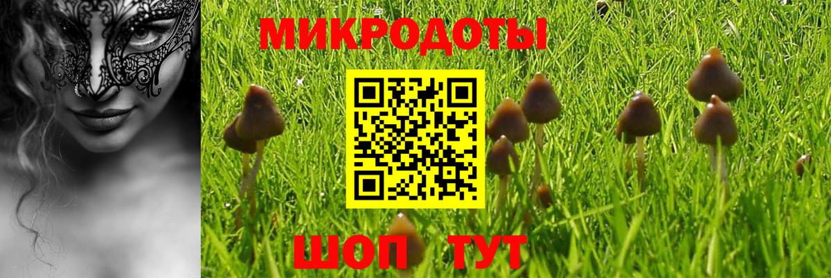 Псилоцибиновые грибы MAGIC MUSHROOMS  Вход с VPN  Барабинск 