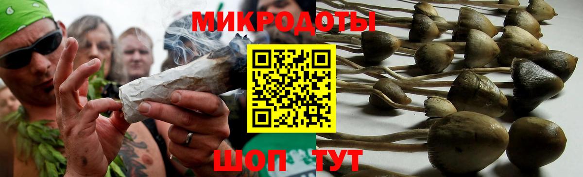 Галлюциногенные грибы прущие грибы Барабинск
